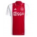 Camisa de Futebol Ajax Brian Brobbey #9 Equipamento Principal 2024-25 Manga Curta